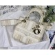 MEDIUM LADY D-LITE BAG Stripe Embroidery High