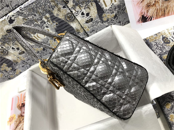 MEDIUM LADY Dior BAG Snake Grey High