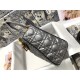 MEDIUM LADY Dior BAG Snake Grey High