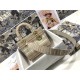 MEDIUM LADY D-LITE BAG Stripe Embroidery High