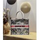 LARGE Dior BOOK TOTE Embroidery High