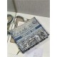 LARGE Dior BOOK TOTE Gradient Toile de Jouy Embroidery Blue High