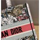 MEDIUM Dior BOOK TOTE Embroidery High