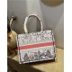 MEDIUM Dior BOOK TOTE Embroidery High