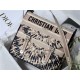 MEDIUM DiorCAMP BAG Embroidery High