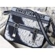 MEDIUM DiorCAMP BAG Embroidery High