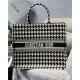 LARGE Dior BOOK TOTE Houndstooth Embroidery Black and White High