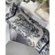 SMALL Dior BOOK TOTE Toile de Jouy Embroidery High