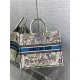 LARGE Dior BOOK TOTE Multicolor D-Constellation Embroidery High