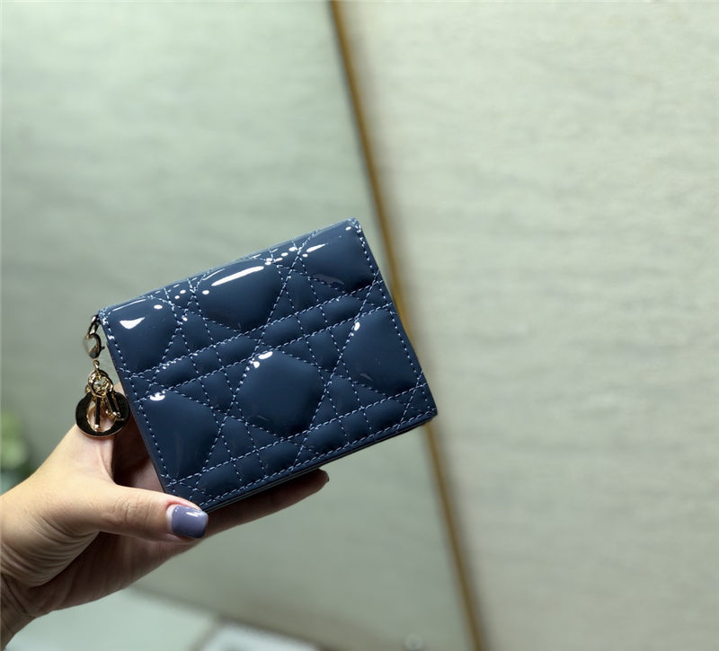 Dior MINI LADY Dior WALLET High