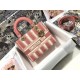 MEDIUM LADY D-LITE BAG Stripe Embroidery High