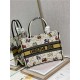 MEDIUM Dior BOOK TOTE Dior Pixel Zodiac Embroidery White High