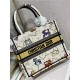 SMALL Dior BOOK TOTE Dior Pixel Zodiac Embroidery White High