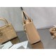 MEDIUM LADY Dior BAG Patent Cannage Calfskin High