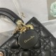 SMALL LADY Dior MY ABCDior BAG Cannage Lambskin Enamel High