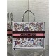 LARGE Dior BOOK TOTE Florilegio Embroidery High