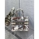 SMALL Dior BOOK TOTE Dior Jardin d'Hiver Embroidery White High