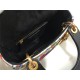 MINI LADY Dior BAG Embroidery Calfskin High