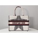 MEDIUM Dior BOOK TOTE Star High