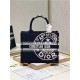 SMALL Dior BOOK TOTE Jute Canvas Embroidered with Dior Union Motif High