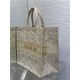 LARGE Dior BOOK TOTE D-Lace Embroidery with Macramé Effect High