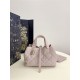 DIOR TOUJOURS BAG SMALL Macrocannage Calfskin Pale Pink High