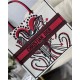 LARGE Dior BOOK TOTE Multicolor Cupidon Embroidery Latte High