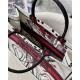 LARGE Dior BOOK TOTE Multicolor Cupidon Embroidery Latte High