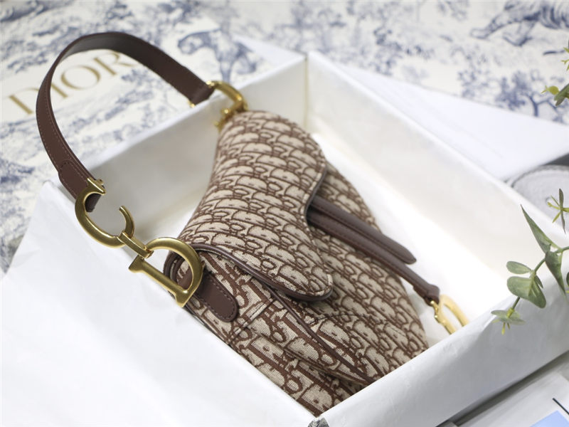 SADDLE BAG Dior Oblique Embroidery High