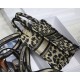 MINI Dior BOOK TOTE PHONE BAG Multicolor Mizza Embroidery Beige High