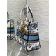 MEDIUM LADY D-LITE BAG Toile de Jouy Mexico Embroidery Blue High