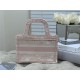 MINI Dior BOOK TOTE Toile de Jouy Embroidery Pink High