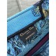 SMALL Dior BOOK TOTE Toile de Jouy Voyage Embroidery Blue High