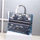 LARGE Dior BOOK TOTE Dior Palms Embroidery Blue High