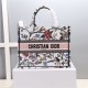 MEDIUM Dior BOOK TOTE Embroidery High