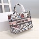 MEDIUM Dior BOOK TOTE Embroidery High