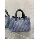 DIOR TOUJOURS BAG MEDIUM Denim Blue High