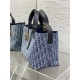 MEDIUM DIOR TOUJOURS BAG Denim Blue High