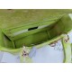 MEDIUM LADY D-LITE BAG Toile de Jouy Reverse Embroidery Lime High