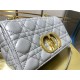 Dior SMALL CARO BAG Calfskin Grey mid