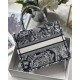 SMALL Dior BOOK TOTE Toile de Jouy Embroidery Blue High