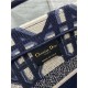 DIOR HAT BASKET BAG Macrocannage Embroidery High