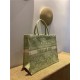 LARGE Dior BOOK TOTE Toile de Jouy Reverse Embroidery Green Mid