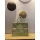 LARGE Dior BOOK TOTE Toile de Jouy Reverse Embroidery Green Mid