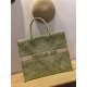 LARGE Dior BOOK TOTE Toile de Jouy Reverse Embroidery Green Mid