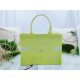 MEDIUM Dior BOOK TOTE Toile de Jouy Reverse Embroidery Lime High