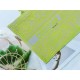 MEDIUM Dior BOOK TOTE Toile de Jouy Reverse Embroidery Lime High