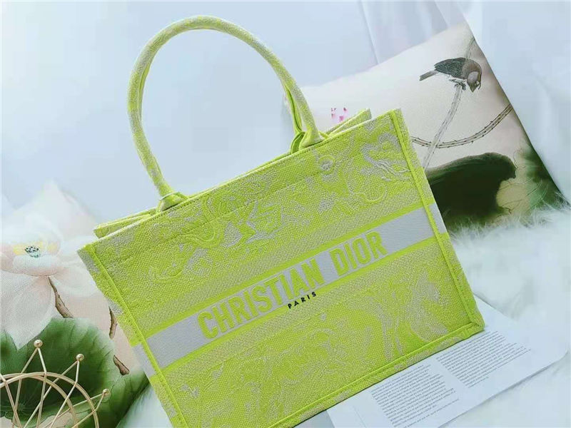 MEDIUM Dior BOOK TOTE Toile de Jouy Reverse Embroidery Lime High