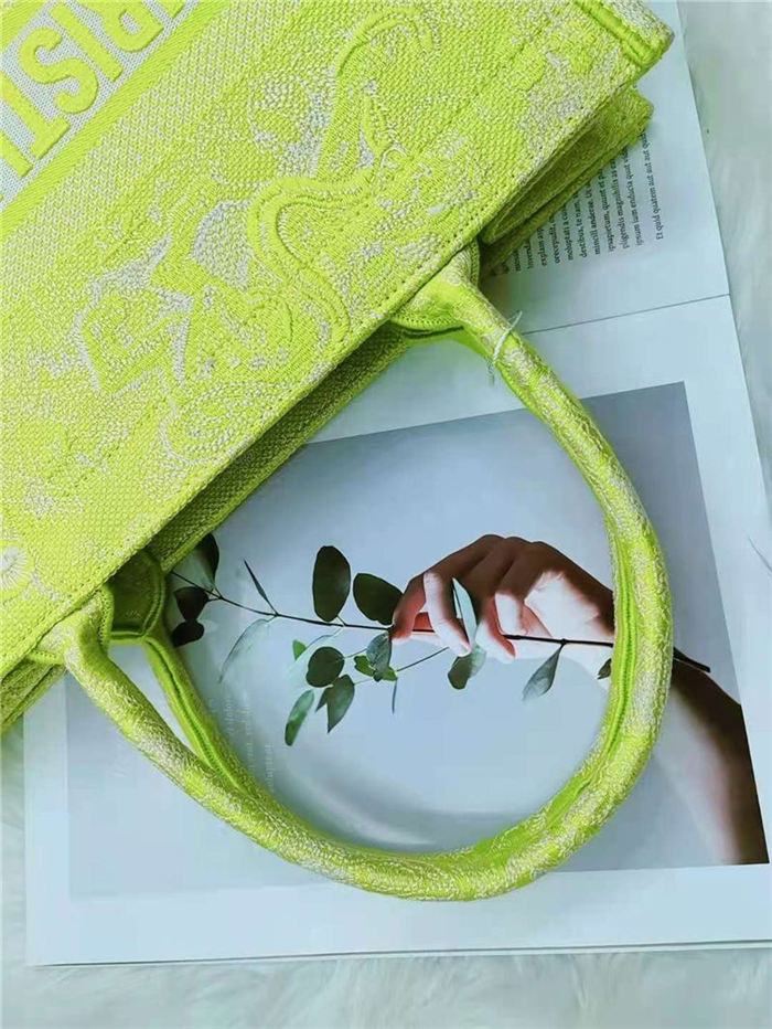 MEDIUM Dior BOOK TOTE Toile de Jouy Reverse Embroidery Lime High