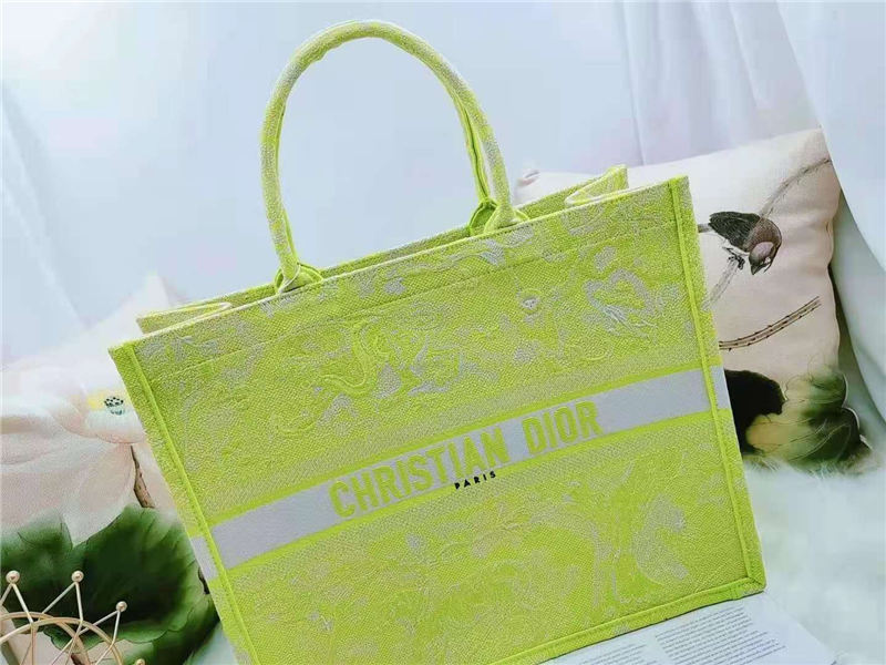 LARGE Dior BOOK TOTE Toile de Jouy Reverse Embroidery Lime High